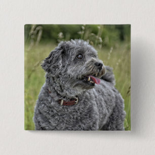 Niedlich Terrier Dog Button
