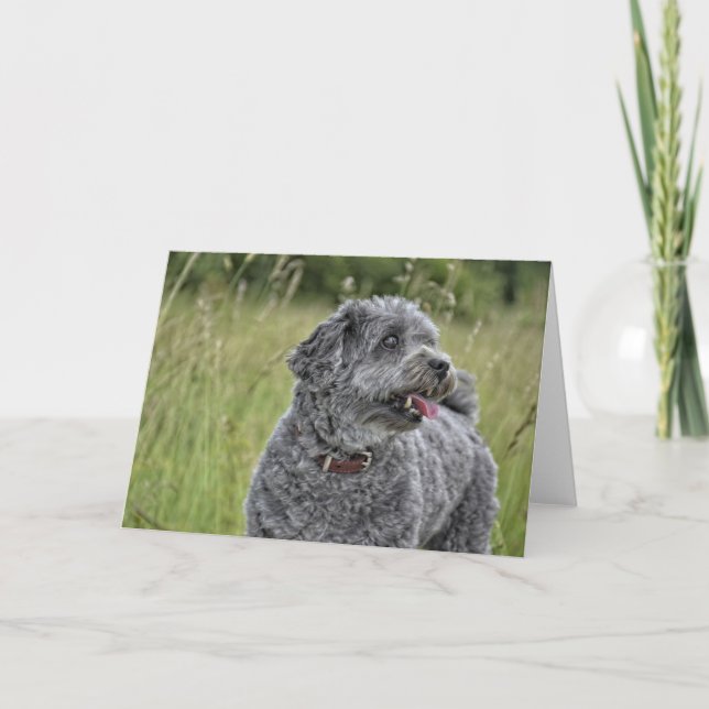 Niedlich Terrier Dog Karte (Vorderseite)