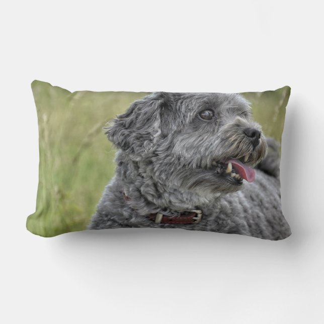 Niedlich Terrier Dog Lendenkissen (Vorderseite)