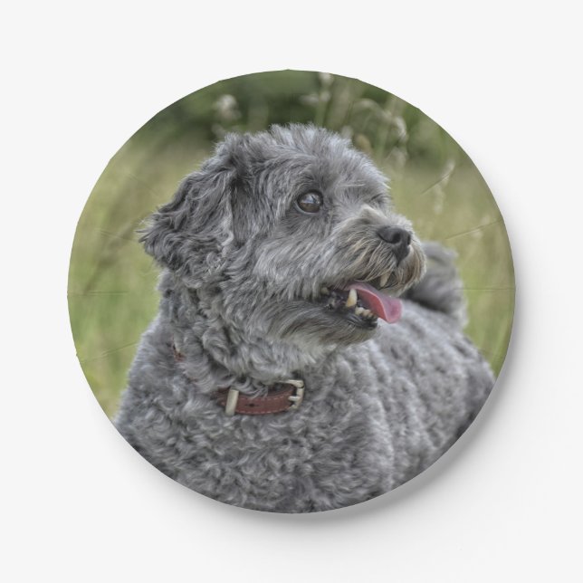 Niedlich Terrier Dog Pappteller (Vorderseite)