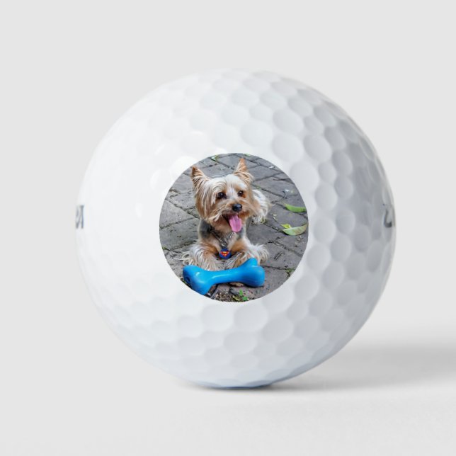 Niedlich Terrier Golfball (Vorderseite)