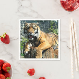 Niedlich Tiger Serviette
