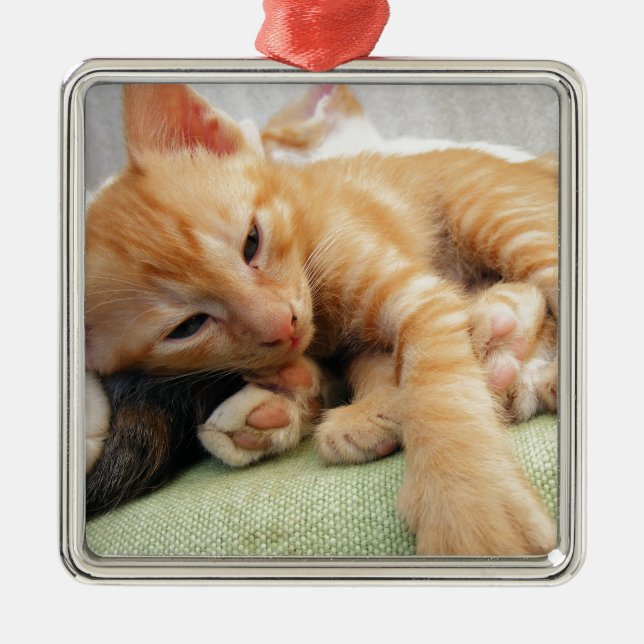 Niedlich Tiger Stripe Kitten Ornament Aus Metall (Vorne)
