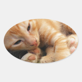 Niedlich Tiger Stripe Kitten Ovaler Aufkleber