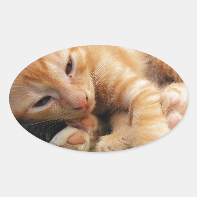 Niedlich Tiger Stripe Kitten Ovaler Aufkleber (Vorderseite)
