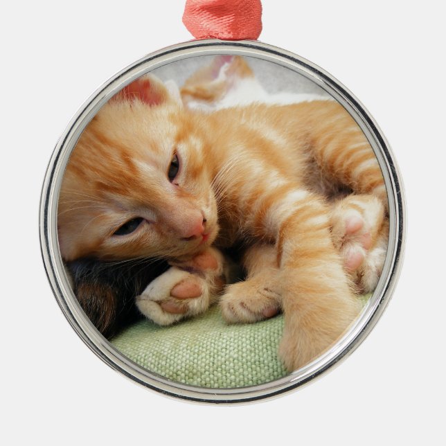 Niedlich Tiger Stripe Kitten Silbernes Ornament (Vorne)