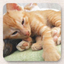 Niedlich Tiger Stripe Kitten Untersetzer