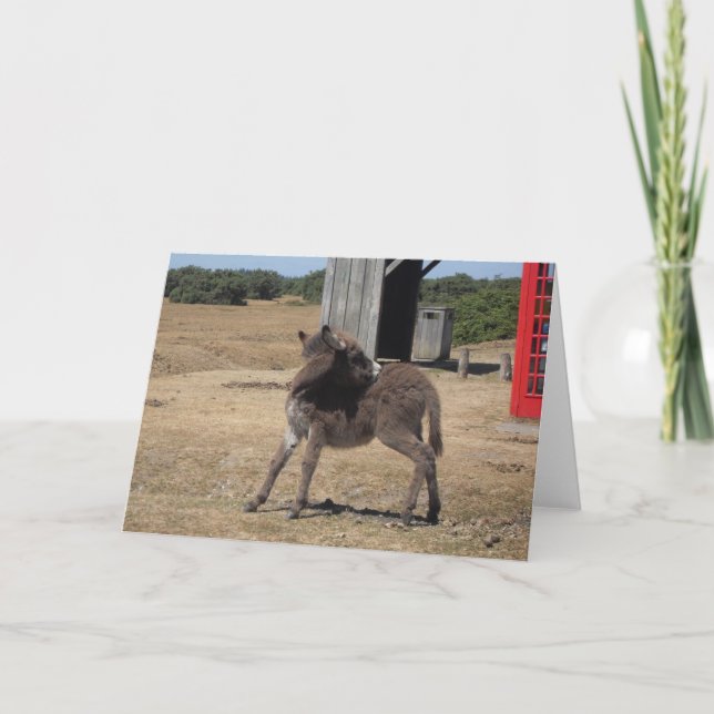 Niedlich Tiny Donkey Foal Karte (Vorderseite)