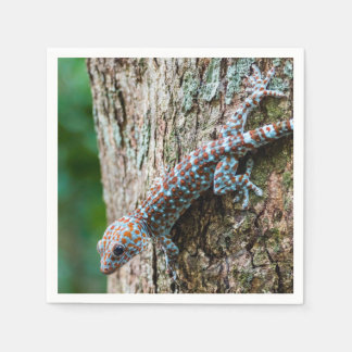 Niedlich Tokay Gecko Lizard Serviette