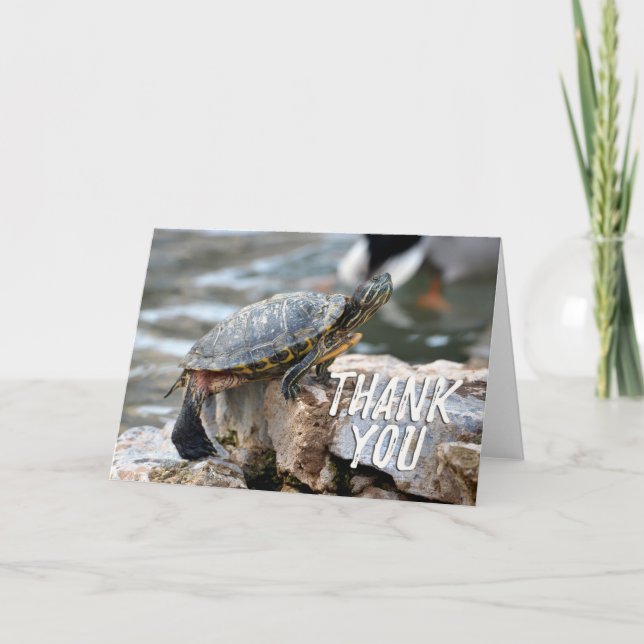 Niedlich Turtle Foto Dankeschön Karte (Vorderseite)