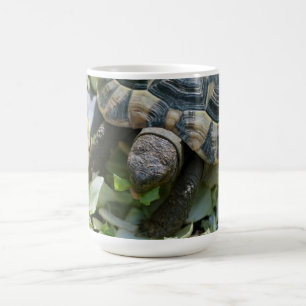 Niedlich Turtle Kaffeetasse
