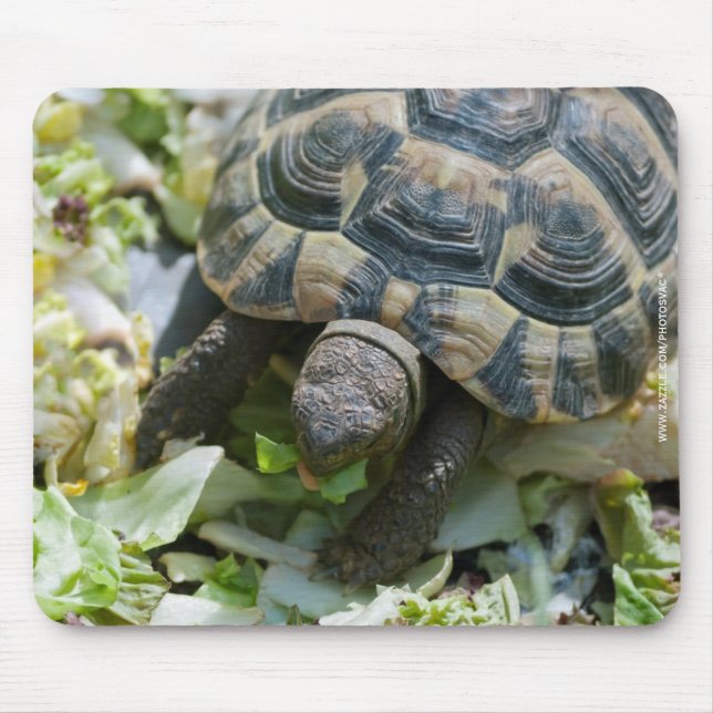 Niedlich Turtle Mousepad (Vorne)