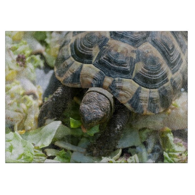 Niedlich Turtle Schneidebrett (Vorderseite)