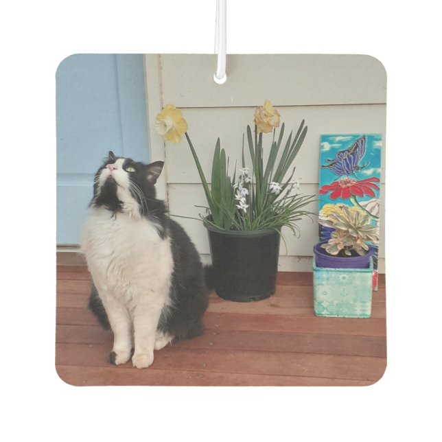 Niedlich Tuxedo Katzen Schwarz-weiße Katzen Blumen Autolufterfrischer (Vorderseite)