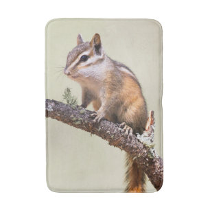 Niedlich und chubby chipmunk badematte