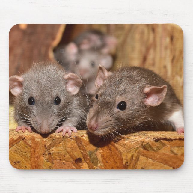 Niedlich und ironisch mousepad (Vorne)