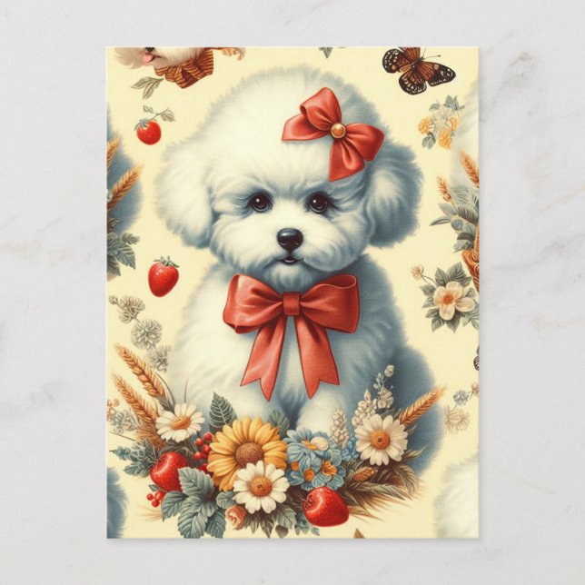 Niedlich Vintager Bichon Frisé Illustration Postkarte (Vorderseite)