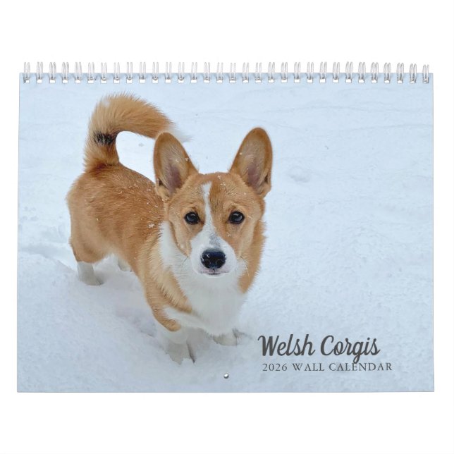 Niedlich Walisische Corgi Dog Fotografy 2026 Wall Kalender (Titelbild)