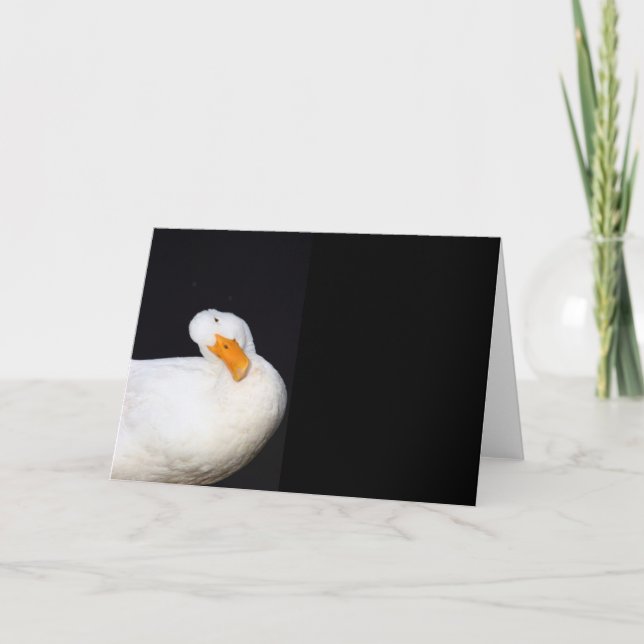 Niedlich Weiß, Ente, leere Notizkarte Karte (Vorderseite)