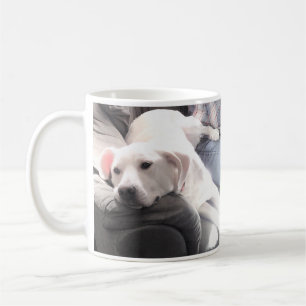 Niedlich weißer Friedlicher Hund Kaffeetasse