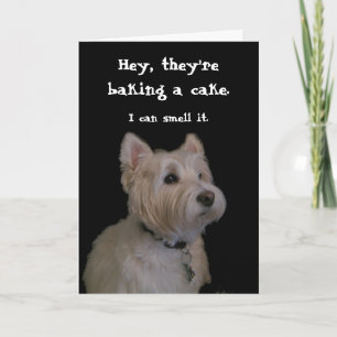 Niedlich Westie Birthday Card Karte