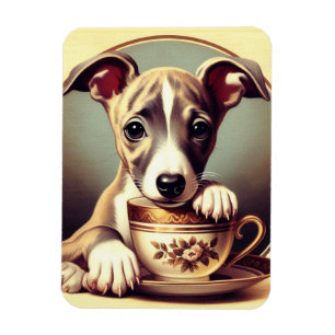 Niedlich Whippet Puppy Magnet