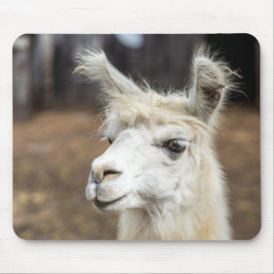Niedlich-White Llama Mouse Pad Mousepad