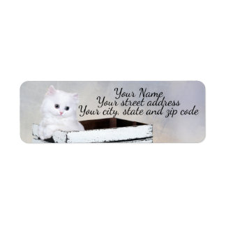 Niedlich White Persian Kitten