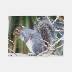 Niedlich Wild Gray Squirrel (UK) Fleecedecke