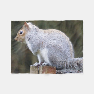 Niedlich Wild Gray Squirrel (UK) Fleecedecke