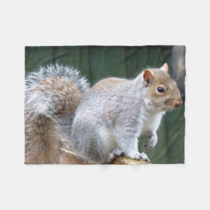 Niedlich Wild Gray Squirrel (UK) Fleecedecke