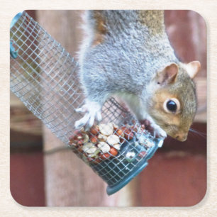 Niedlich Wild Gray Squirrel (UK) Rechteckiger Pappuntersetzer