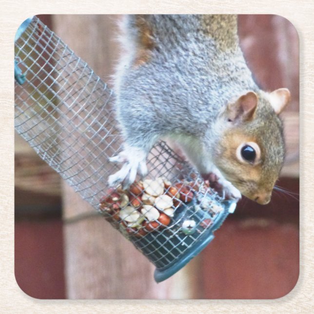 Niedlich Wild Gray Squirrel (UK) Rechteckiger Pappuntersetzer (Vorderseite)