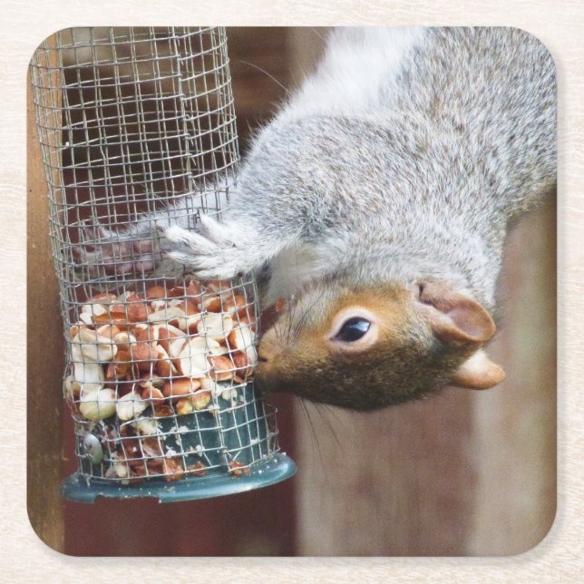 Niedlich Wild Gray Squirrel (UK) Rechteckiger Pappuntersetzer (Vorderseite)