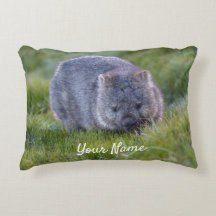 Niedlich Wombat Wildlife Animal Australia Green