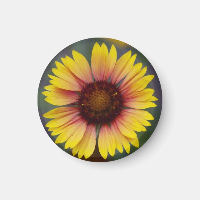 Niedlich Yellow Daisy Floral Magnet (Vorne)