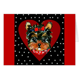 Niedlich Yorkie Poo
