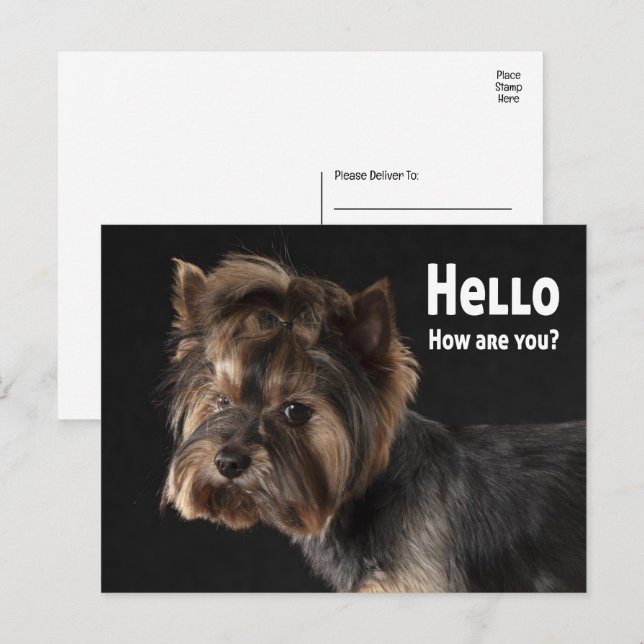 Niedlich Yorkie Puppy Dog Liebe Yorkshire Terrier Postkarte (Vorne/Hinten)