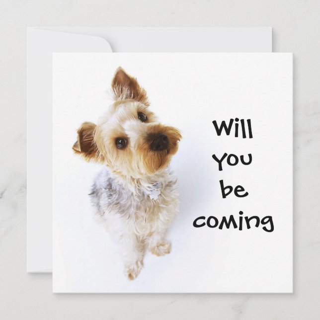 Niedlich Yorkie Puppy Yorkshire Terrier Party Einladung (Vorderseite)