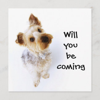 Niedlich Yorkie Puppy Yorkshire Terrier Party Einladung