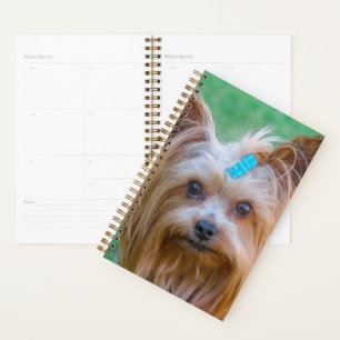 Niedlich Yorkshire Terrier Dog Head Planer