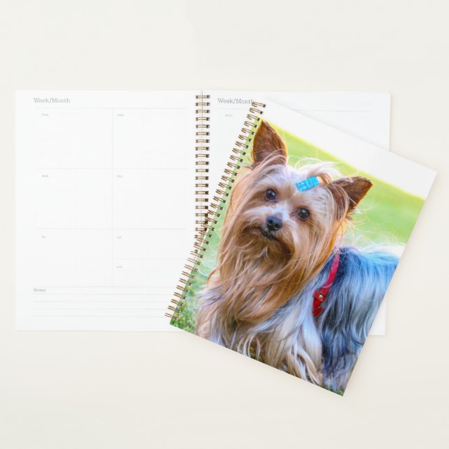 Niedlich Yorkshire Terrier Dog Head Planer (Anzeige)