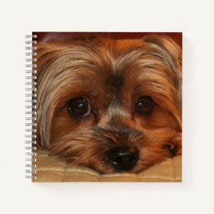 Niedlich Yorkshire Terrier Dog Notizbuch