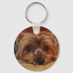 Niedlich Yorkshire Terrier Dog Schlüsselanhänger