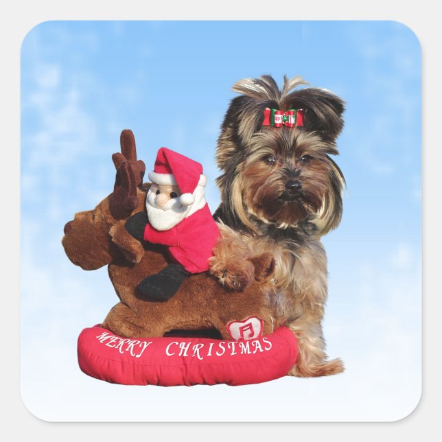 Niedlich Yorkshire Terrier Frohe Weihnachten Quadratischer Aufkleber (Vorderseite)