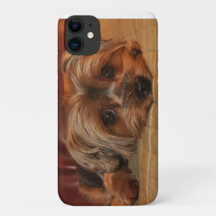 Niedlich Yorkshire Terrier Puppy Dog Case-Mate iPhone Hülle