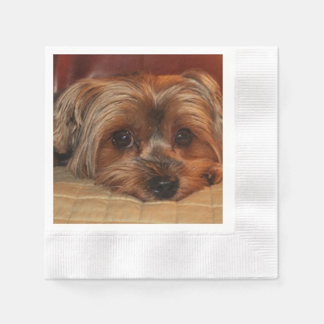 Niedlich Yorkshire Terrier Puppy Dog Serviette (Vorderseite)