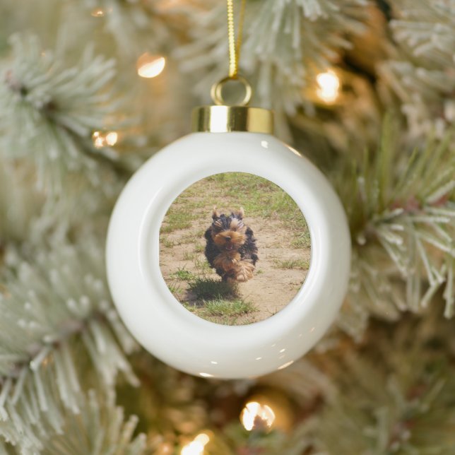 Niedlich Yorkshire Terrier Puppy läuft Keramik Kugel-Ornament (Baum)