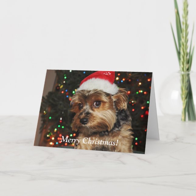 Niedlich Yorkshire Terrier Weihnachtskarte Feiertagskarte (Vorderseite)