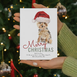Niedlich Yorkshire Terrier Weihnachtsmannmütze Fro Feiertagskarte